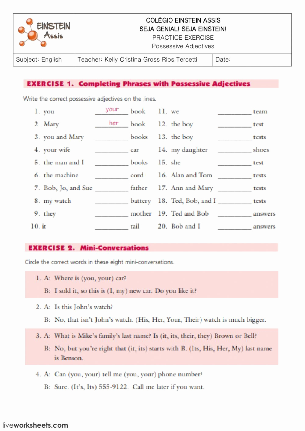 3rd Grade Adjectives Worksheets Best Of 3rd Grade Possessive Adjectives Worksheet Pdf