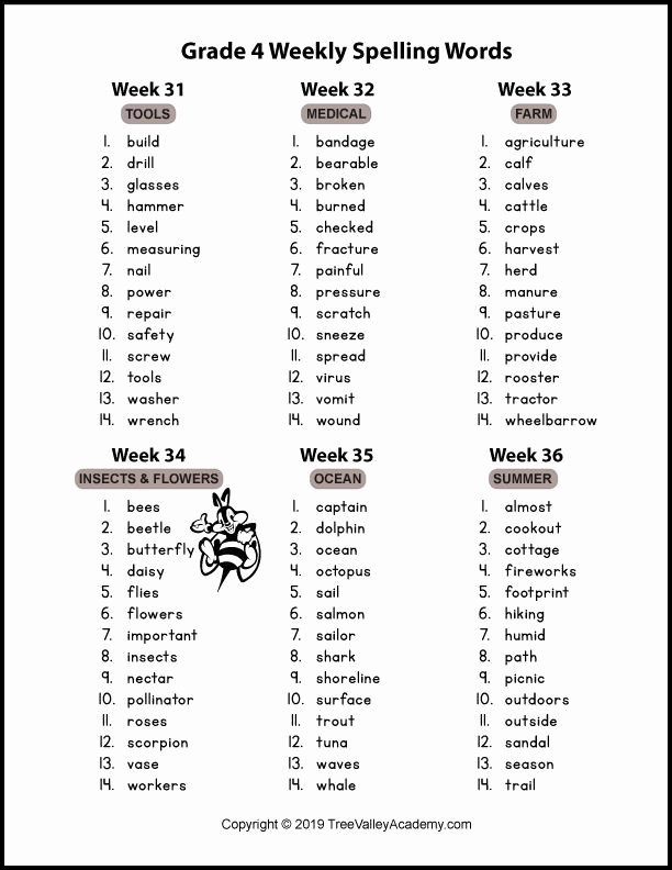 4th Grade Vocabulary Worksheets Pdf Best Of Grade 4 Spelling Words with Images