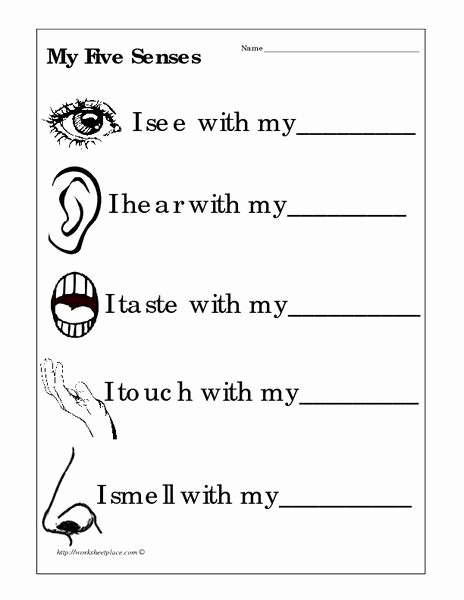 5 Senses Worksheets Pdf Awesome the Five Senses Worksheets