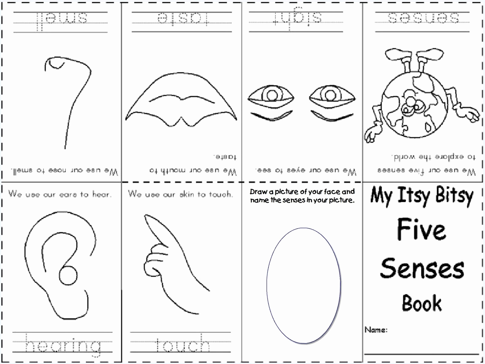5 Senses Worksheets Pdf Beautiful Best S Free Five Senses Printable Preschool Five