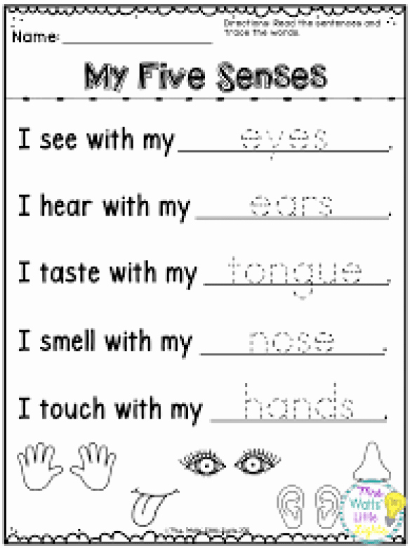 5 Senses Worksheets Pdf Elegant Free Pdf Ewsl Five Senses Kindergarten Worksheets Google