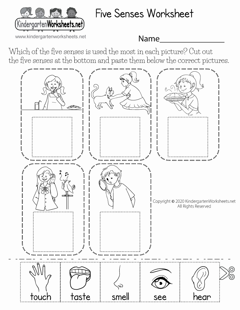 5 Senses Worksheets Pdf Inspirational Free Five Senses Worksheet for Kids