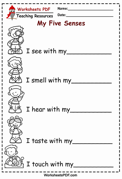 5 Senses Worksheets Pdf Luxury Activity with the Five Senses Worksheets Pdf