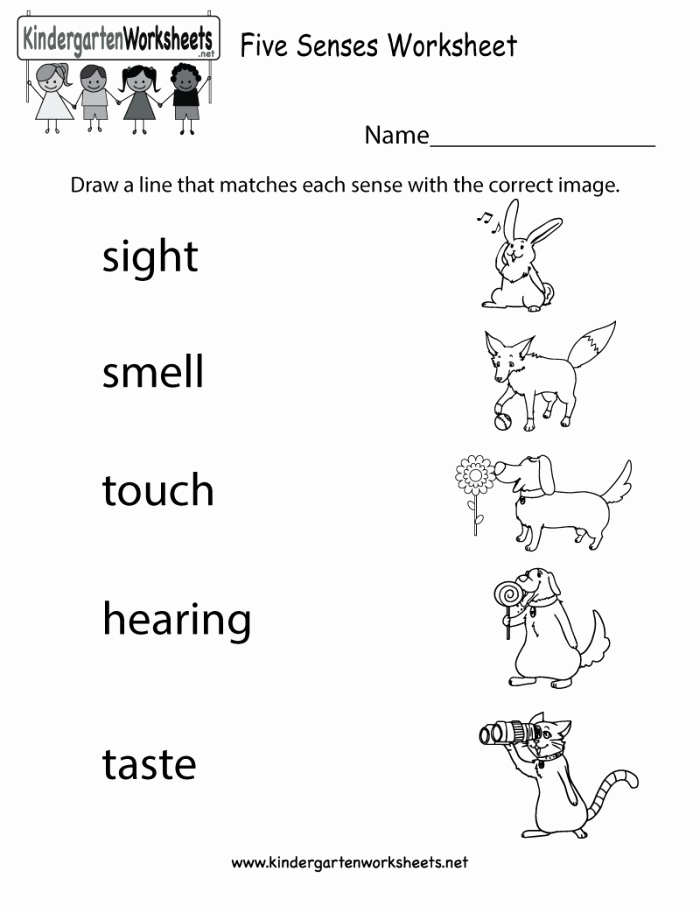 5 Senses Worksheets Pdf Unique 5 Senses Sight Matching Worksheets