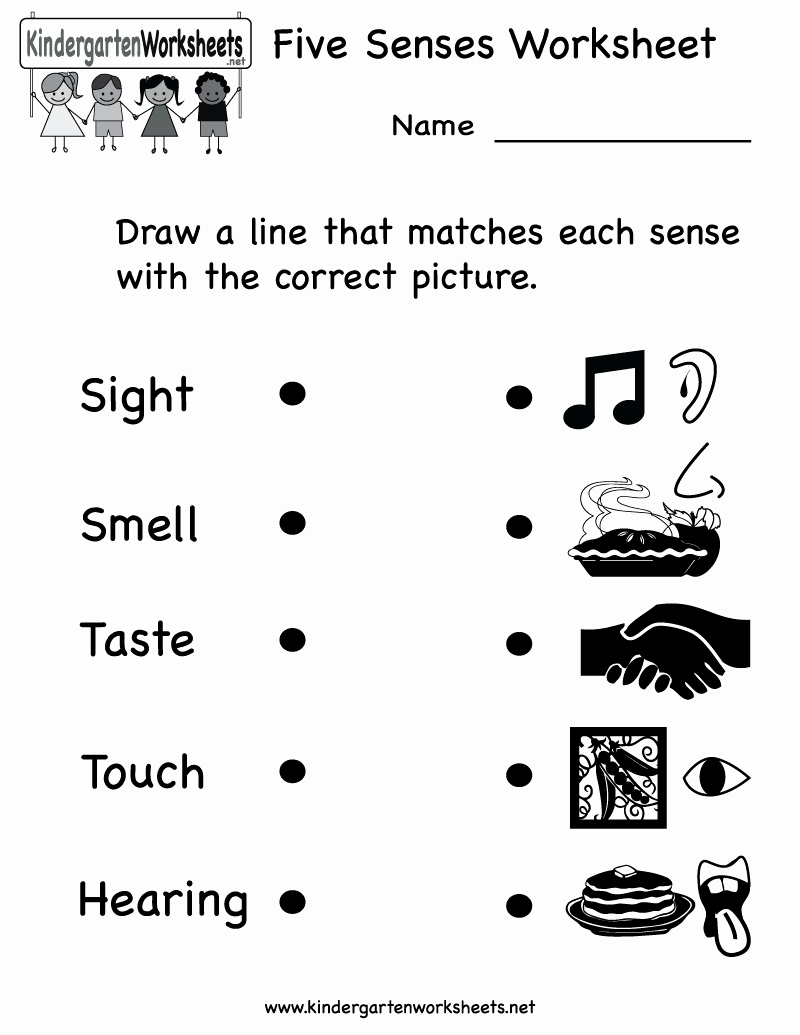5 Senses Worksheets Pdf Unique Kindergarten Five Senses Worksheet Printable