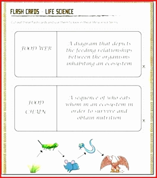 7th Grade Life Science Worksheets Awesome 25 7th Grade Life Science Worksheets