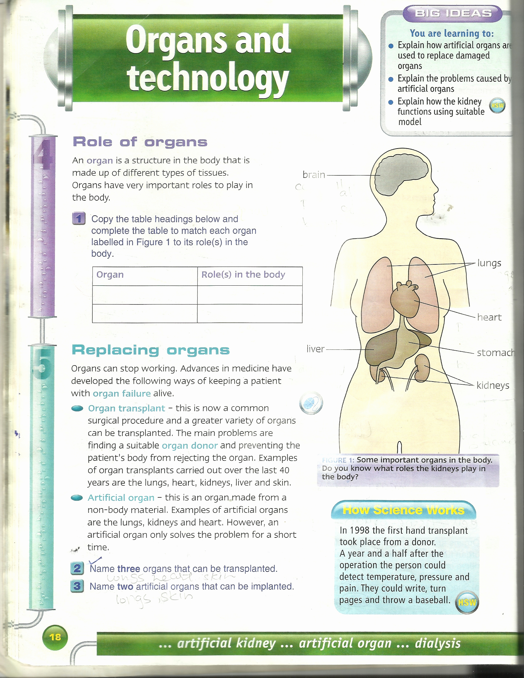 7th Grade Life Science Worksheets Elegant 20 7th Grade Life Science Worksheets