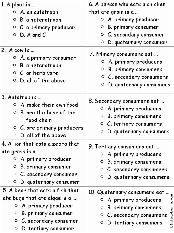 Ecology Worksheets Middle School Beautiful Ecology Worksheets Middle School Fish Worksheets for High