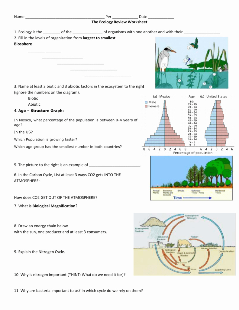 Ecology Worksheets Middle School New the Ecology Review Worksheet