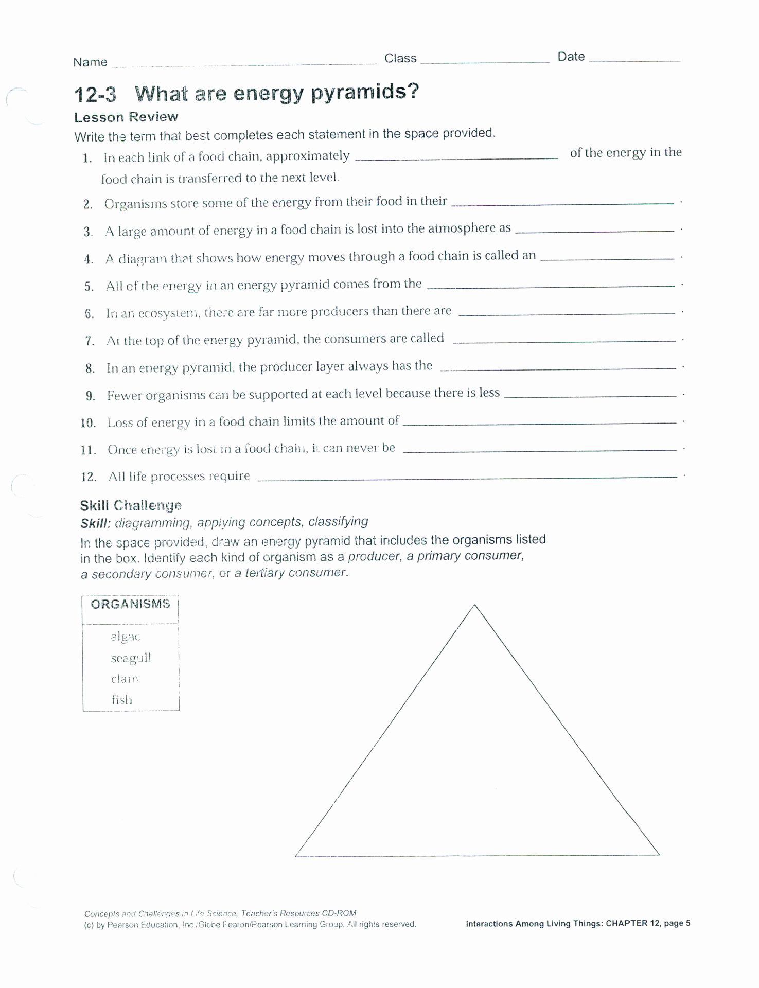 Ecology Worksheets Middle School Unique Worksheet Ecological Pyramid Worksheet Grass Fedjp