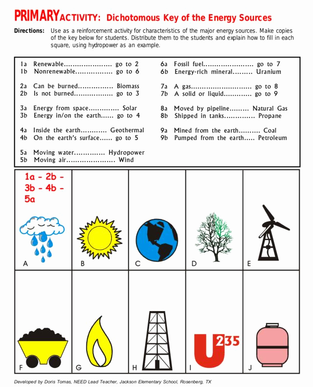 Energy 4th Grade Worksheets Unique Primary Activity Dichotomous Key Of Energy sources