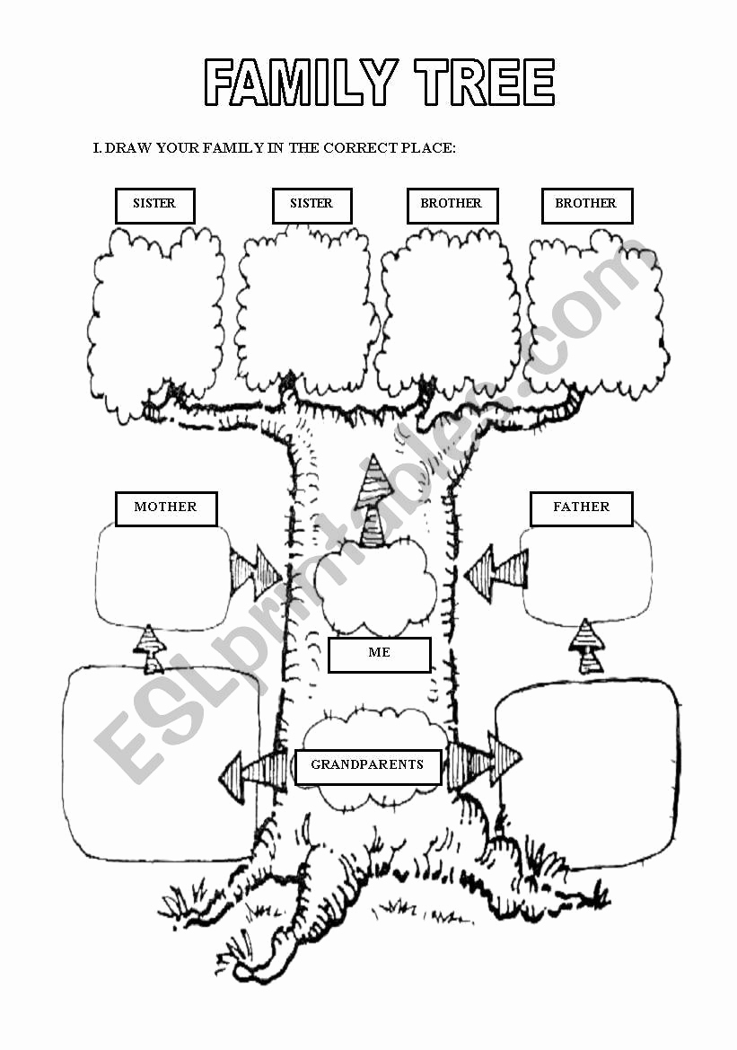 Family Tree Worksheets for Kids Unique Family Tree Esl Worksheet by Tunecienta