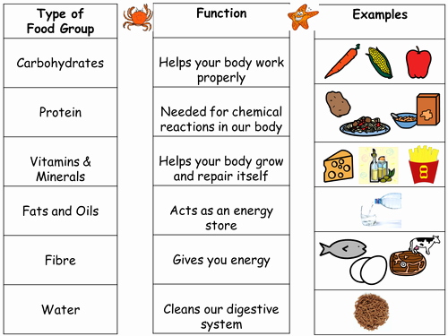 Five Food Groups Worksheets New Intro to Food Groups and Differentiated Worksheets