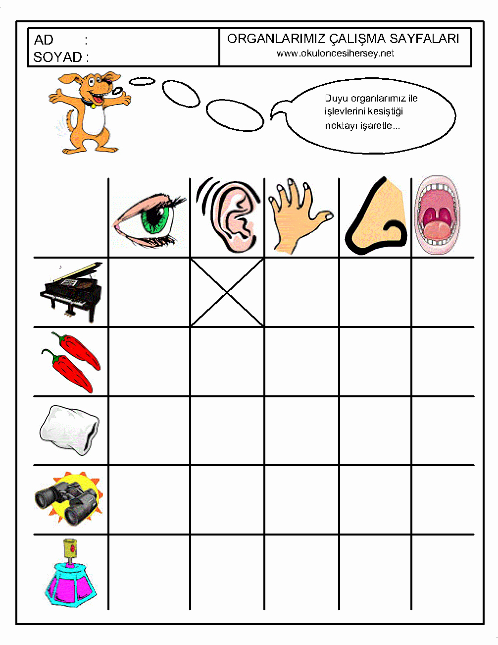 Five Senses Worksheets for Kindergarten Best Of Crafts Actvities and Worksheets for Preschool toddler and