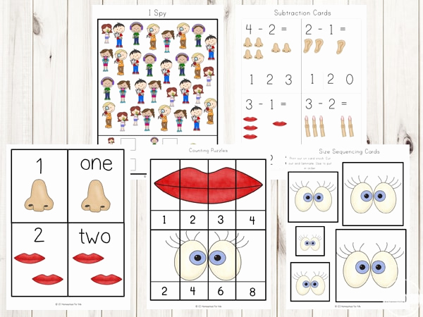 Five Senses Worksheets for Kindergarten Fresh Free Five Senses Printable Pack