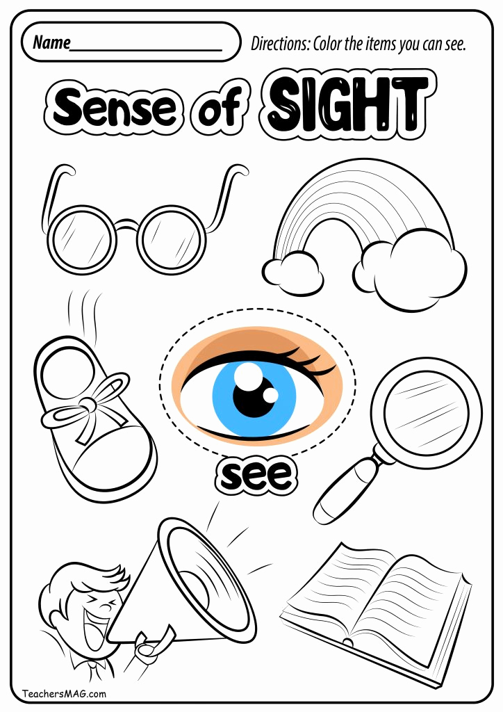 Five Senses Worksheets for Kindergarten New Free Five Senses Worksheets