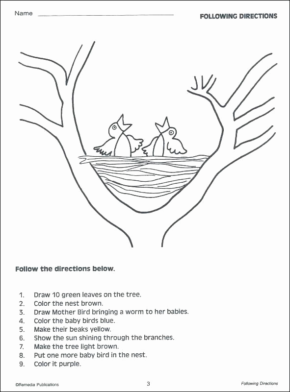 Following Directions Coloring Worksheet Lovely Following Directions Coloring Worksheet Pages One