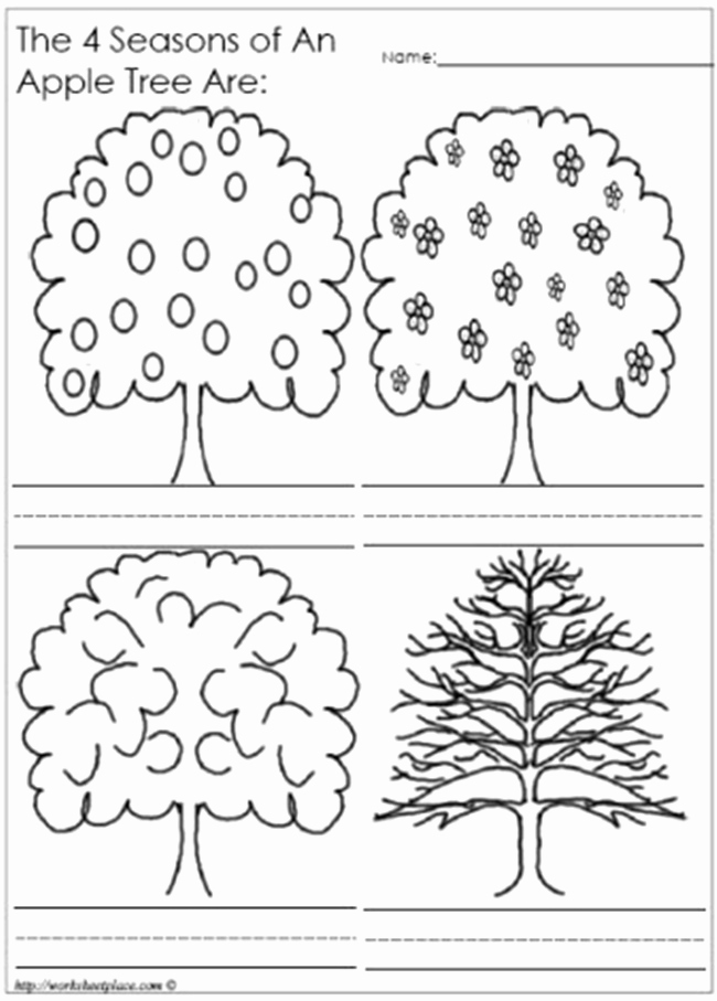 Four Seasons Kindergarten Worksheets Inspirational 7 Best Of Four Seasons Printable Kindergarten Words
