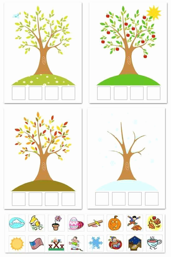Four Seasons Kindergarten Worksheets Inspirational Four Seasons sorting Activity Free Printable