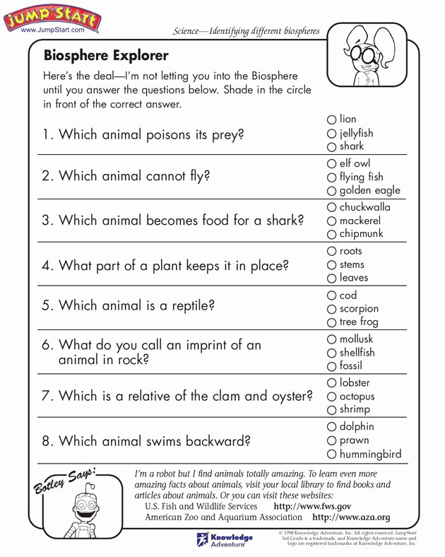 Free 8th Grade Science Worksheets Lovely 20 8th Grade Science Worksheets Pdf