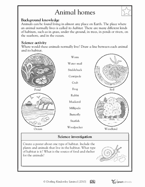Free Habitat Worksheets Elegant Animal Habitats Worksheet for 3rd 4th Grade