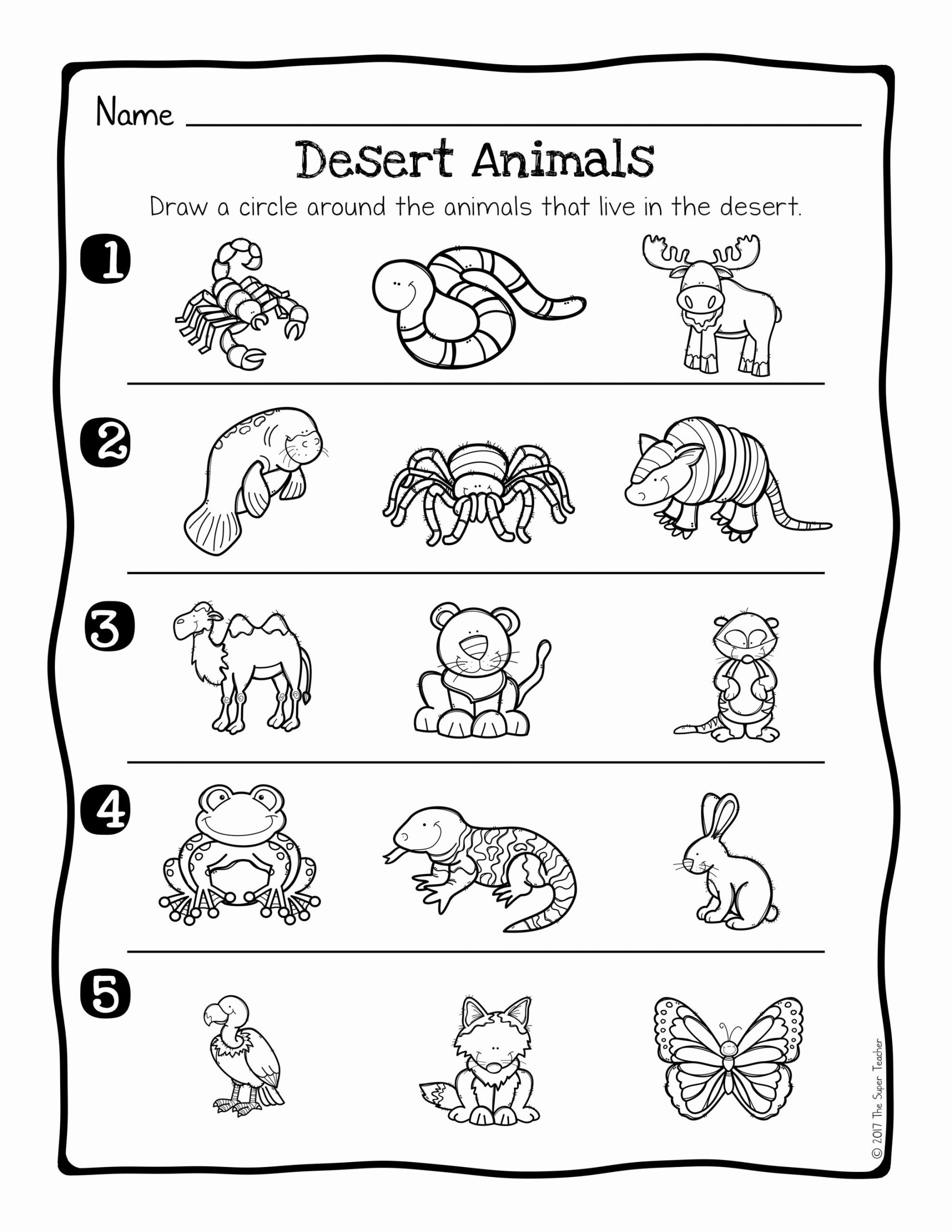 Free Habitat Worksheets Inspirational Animals Habitats Print Worksheet