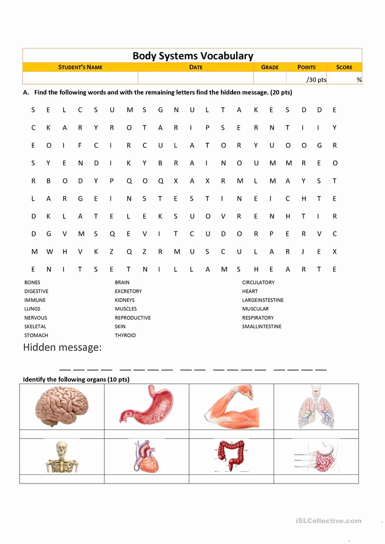 Free Human Body Worksheets New Body Systems Vocabulary English Esl Worksheets for