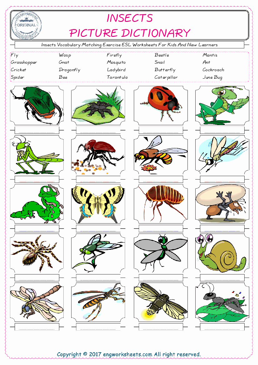 Free Insect Worksheets Beautiful Free Esl Printable Insects English Worksheets and