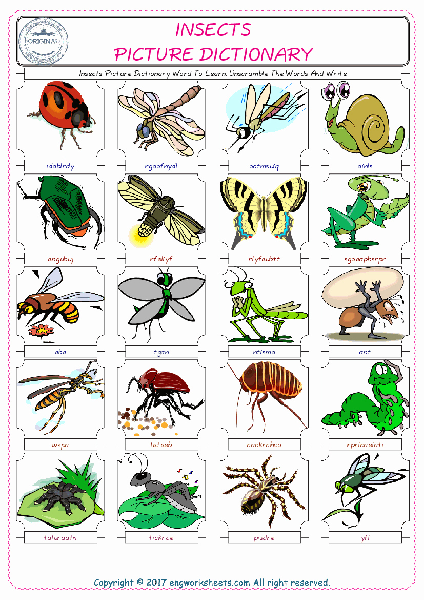 Free Insect Worksheets Fresh Free Esl Printable Insects English Worksheets and