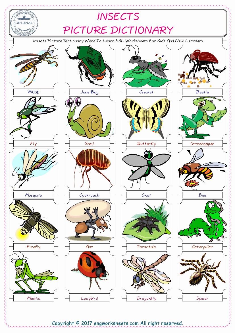 Free Insect Worksheets Lovely Free Esl Printable Insects English Worksheets and