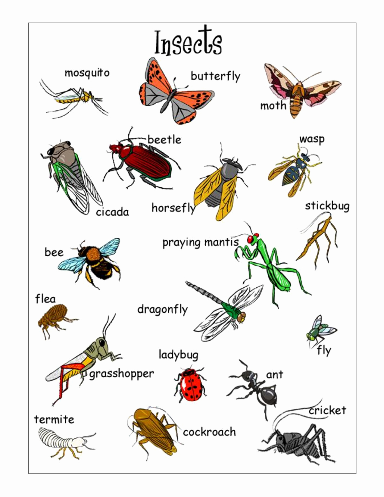 Free Insect Worksheets New 6 Best Of Free Printable Bug Worksheets Free