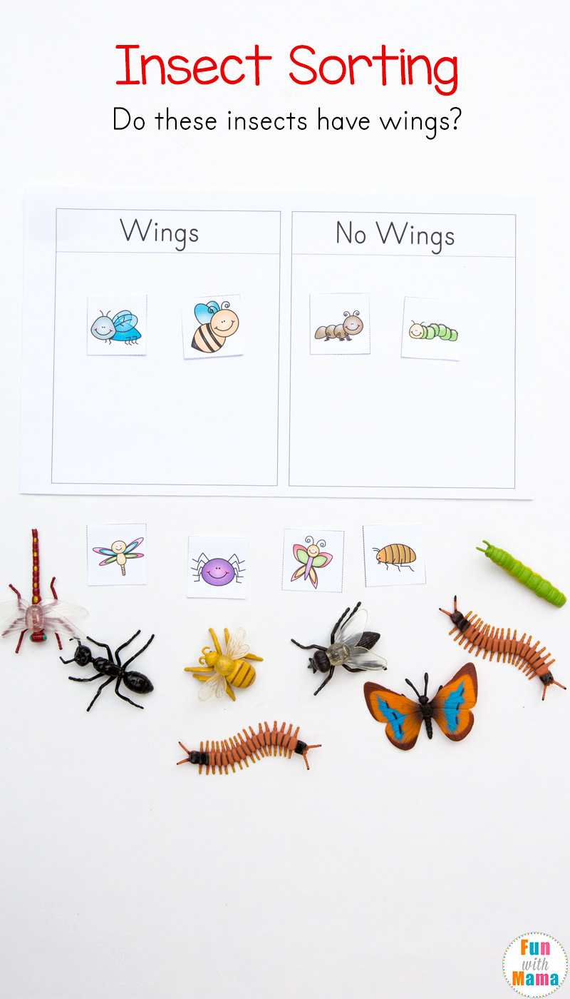 Free Insect Worksheets New Preschool Insect theme sorting Worksheet Bug Activities