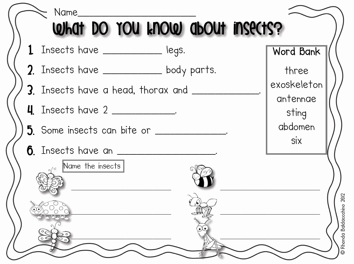 Free Insect Worksheets Unique Classroom Fun Insect or Not Freebie