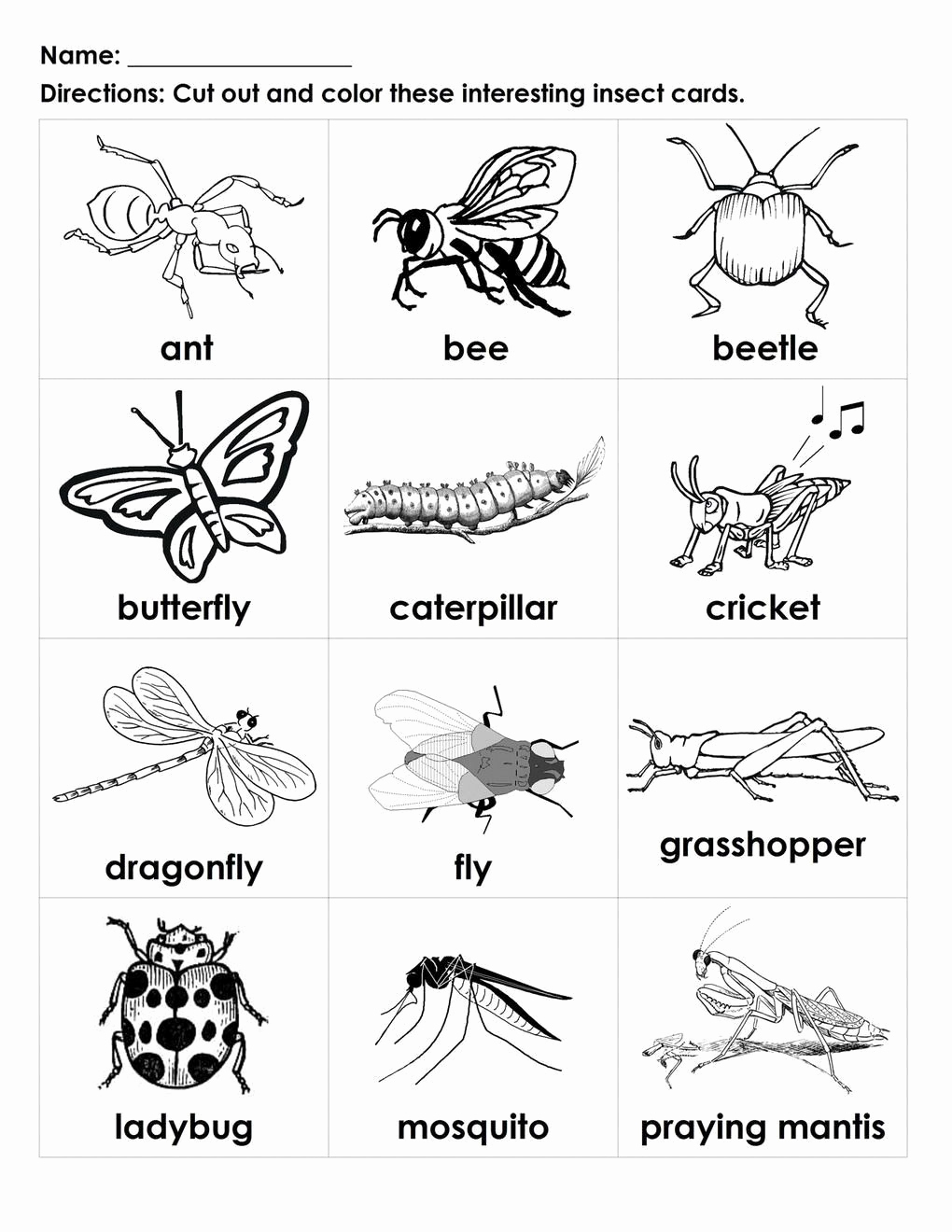 Free Insect Worksheets Unique Pin On Printable Worksheet for Kindergarten