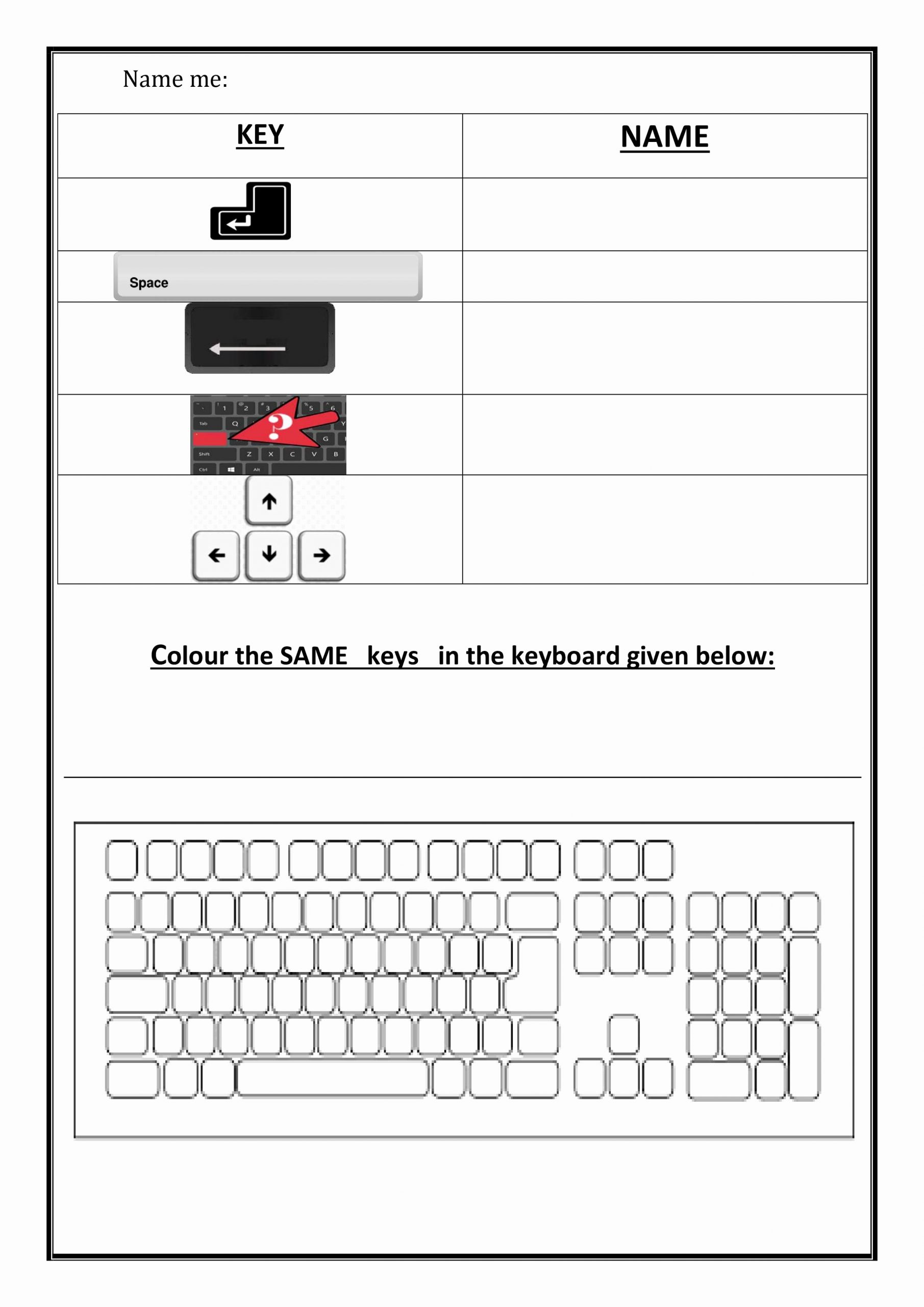 Free Printable Computer Keyboarding Worksheets Elegant Worksheet for Class 2 Notes
