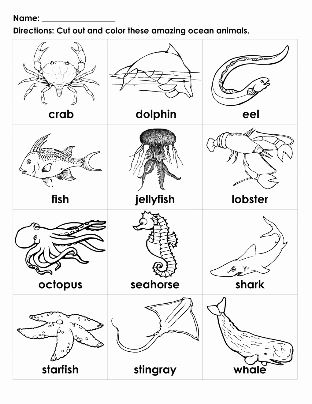 Free Printable Ecosystem Worksheets Unique Ocean Ecosystem Drawing at Getdrawings