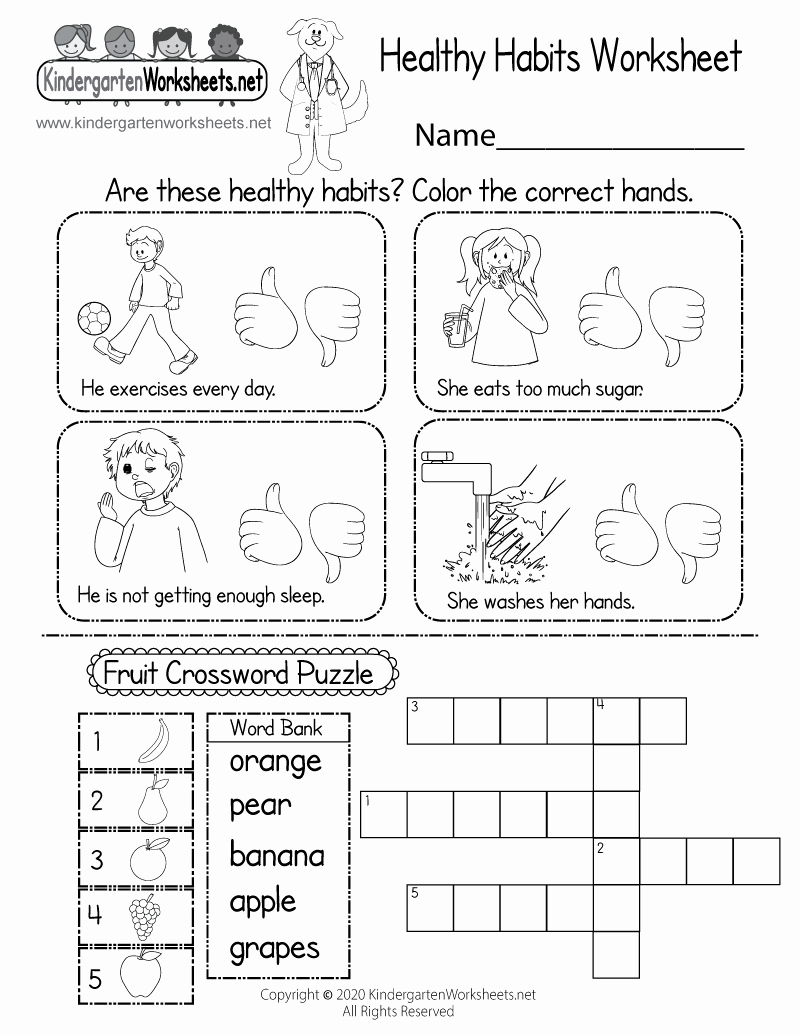 Free Printable Health Worksheets Best Of Healthy Habits Worksheet for Kindergarten Printable