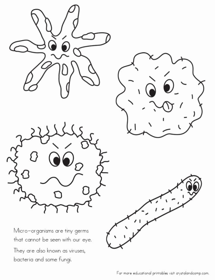 Germs Worksheets for Kindergarten Elegant Germs Worksheets for Kindergarten No More Spreading Germs