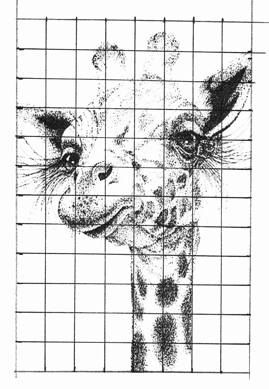Graph Paper Art Worksheets Elegant Pin by Debra Turrell On Science