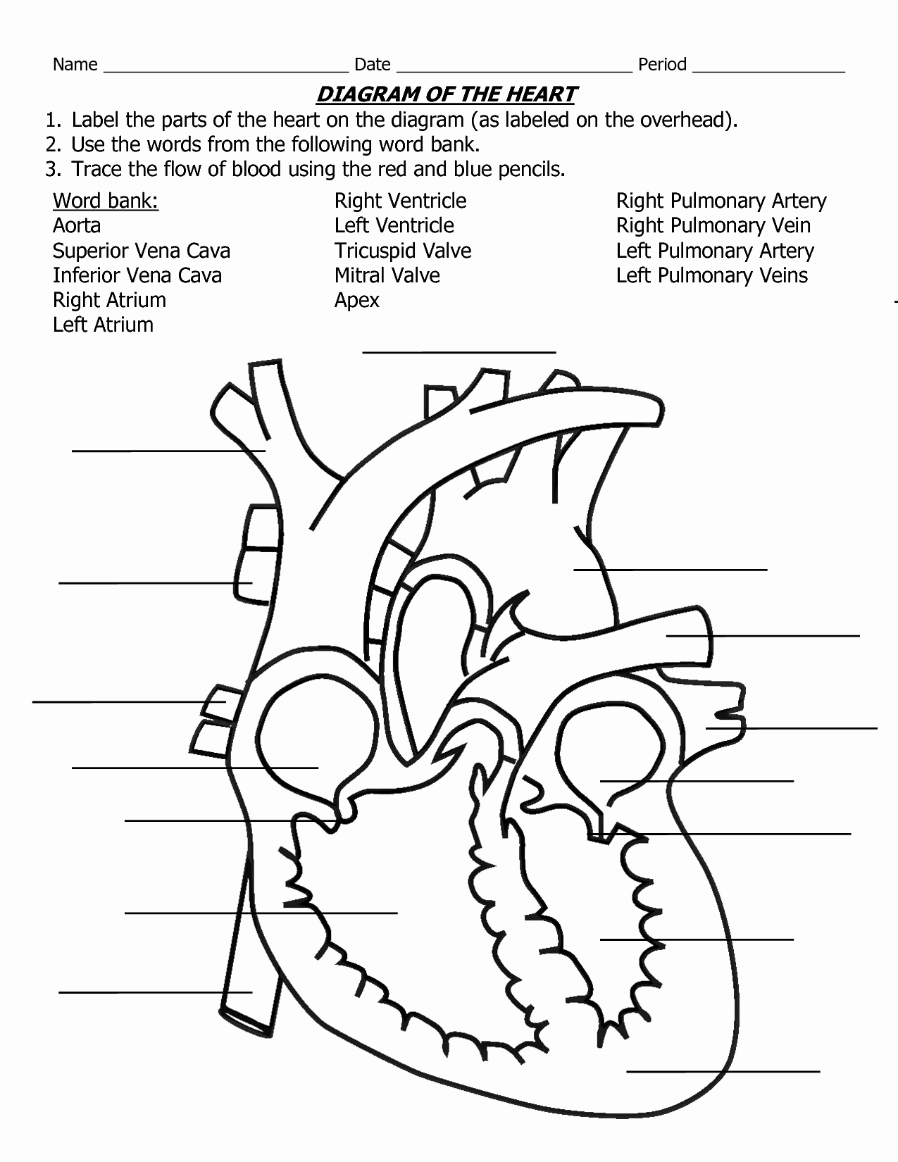 Heart Diagram Worksheet Blank Elegant 11 Best Of Blank Heart Diagram Worksheet with Word