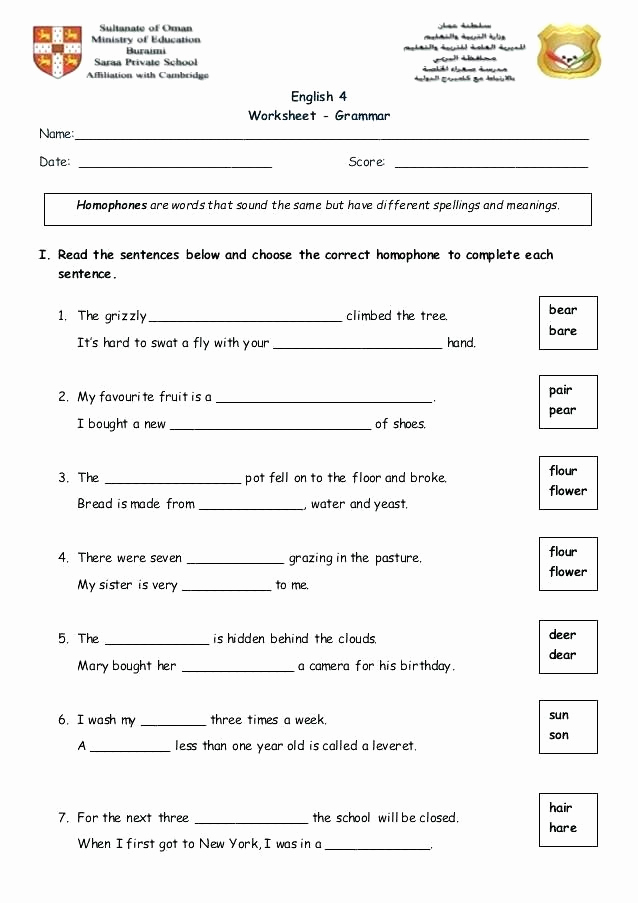Homograph Worksheets 5th Grade Lovely Homophone Worksheets 5th Grade Homophones Worksheet