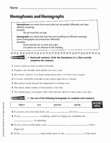 Homographs and Homophones Worksheets Awesome Homophones and Homographs Worksheet for 6th 9th Grade