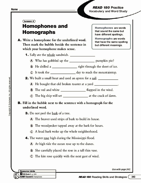 Homographs and Homophones Worksheets New Homophones and Homographs Worksheet for 2nd 3rd Grade