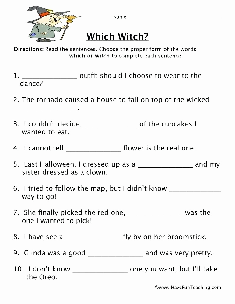 Homographs Practice Worksheets Best Of 25 Homographs Worksheet 3rd Grade