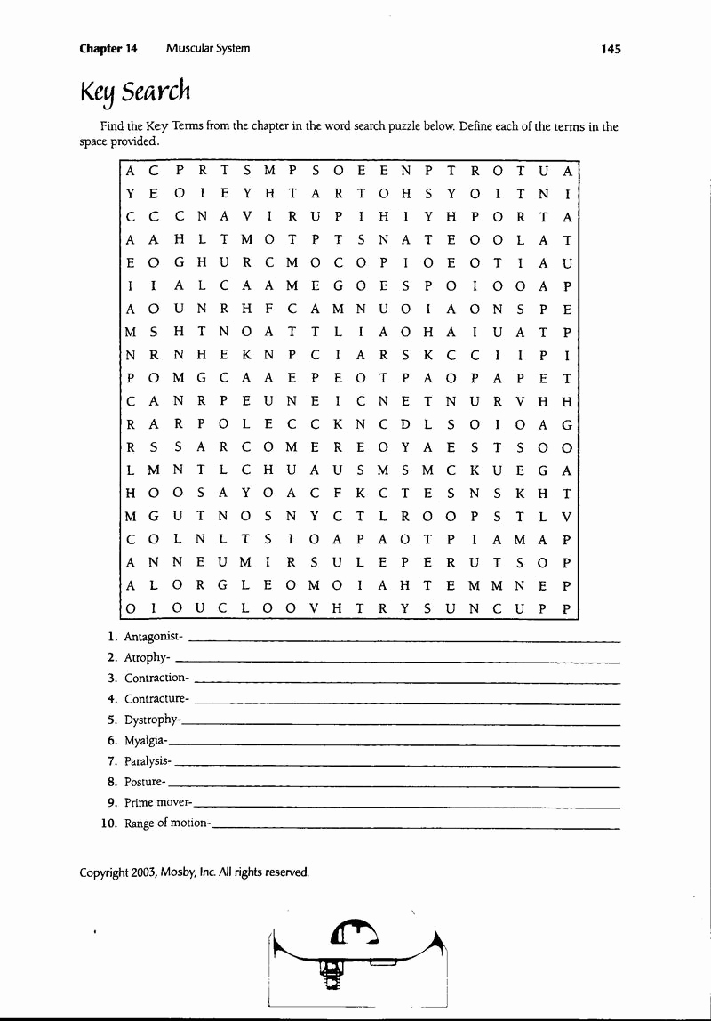 Human Body Worksheets Middle School New 16 Best Of Muscle Worksheets for Middle School
