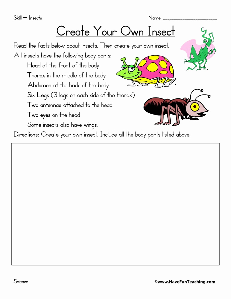 Insect Worksheets for First Grade Awesome Create Your Own Insect Worksheet Have Fun Teaching