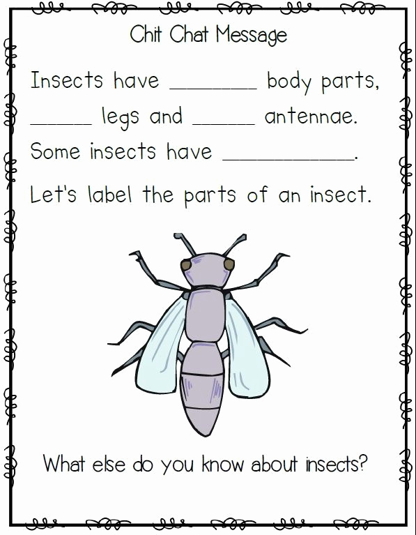 Insect Worksheets for First Grade Beautiful Insect Freebies From Mrs Jump S Class