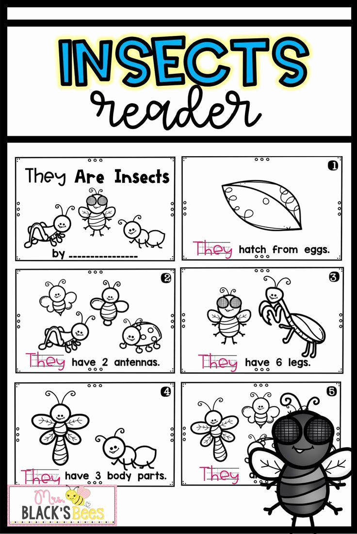 Insect Worksheets for First Grade Lovely Insects Reader