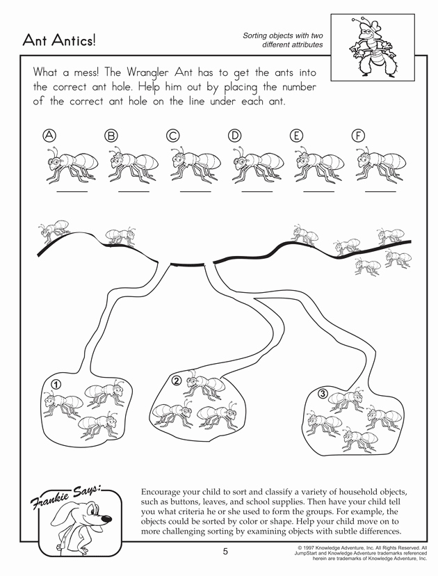 Insect Worksheets for First Grade Luxury 12 Best Mfw K Insect Images On Pinterest