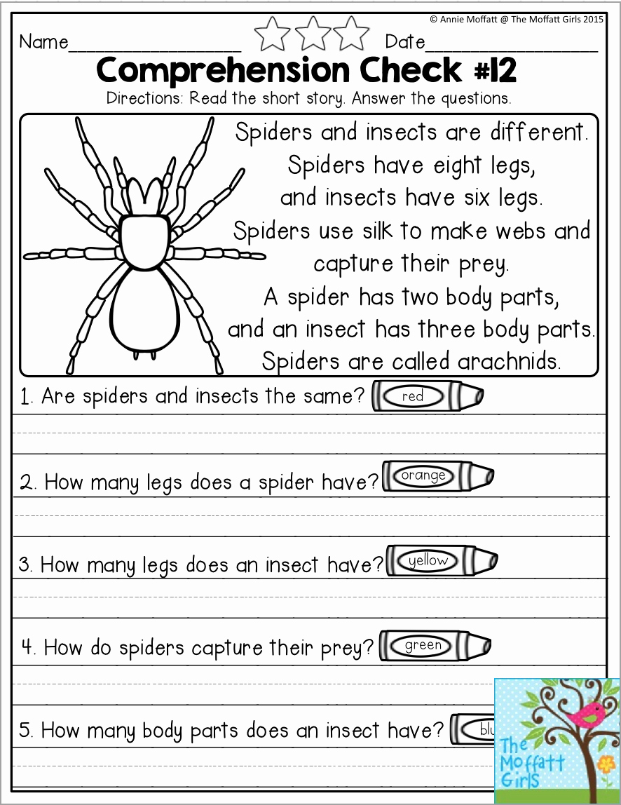 Insect Worksheets for First Grade New Spiders and Insects Reading Prehension Check for